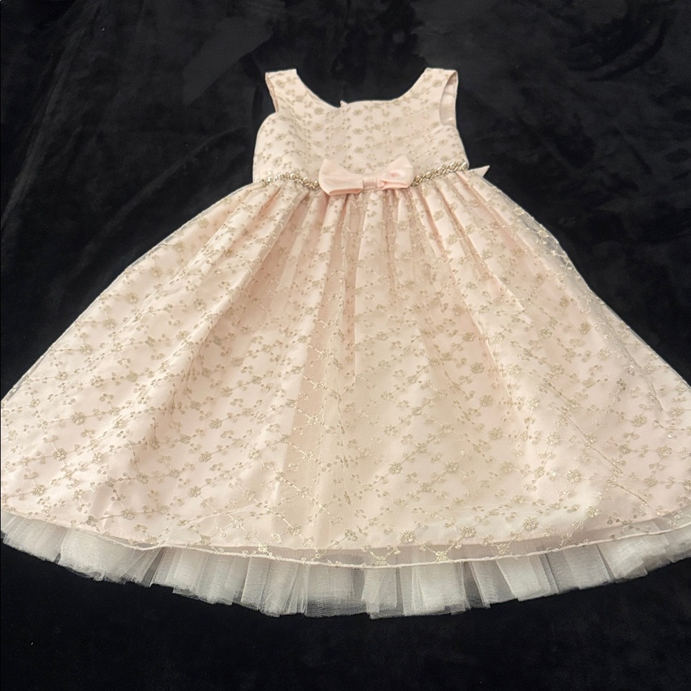 American Princess Light Pink and Gold Floral Dress